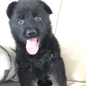 Meet your Posher, Carlos